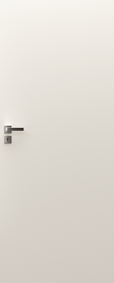Model 1.1
