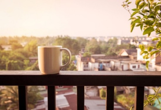 Balkon na podzim a v zimě - jaké rostliny zvolit, aby vydržely nízké teploty?