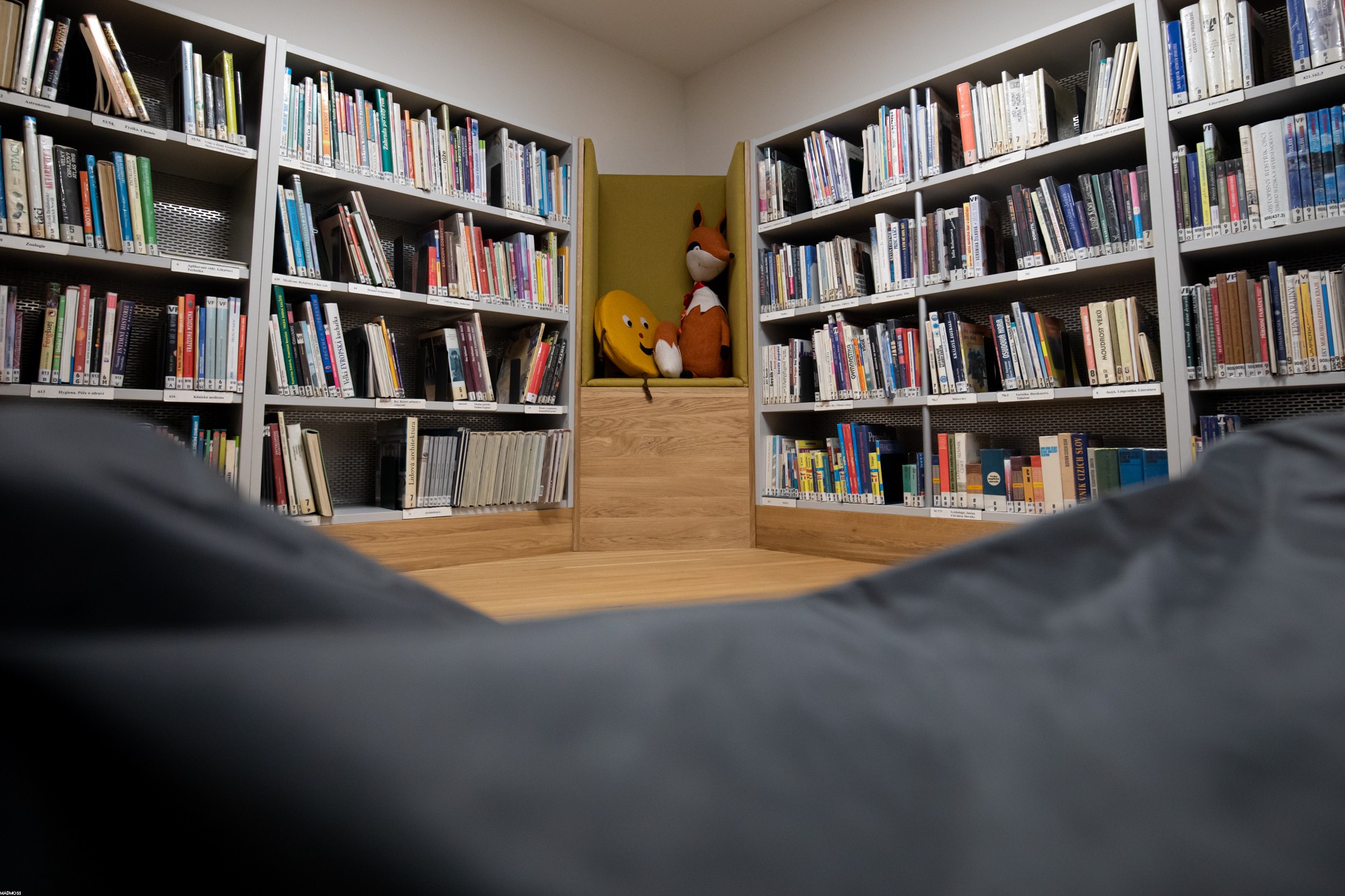 Městská knihovna Loštice