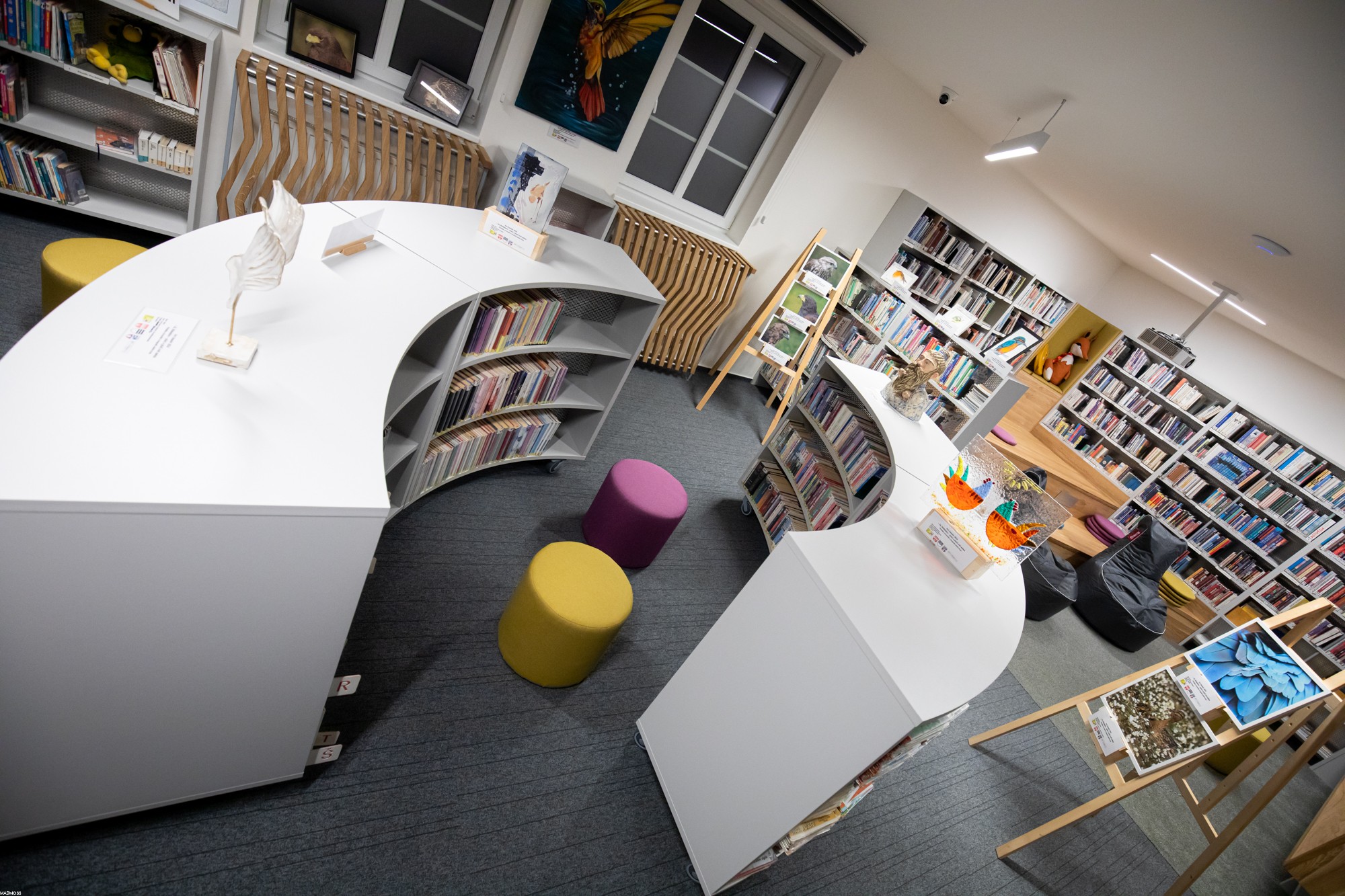 Městská knihovna Loštice