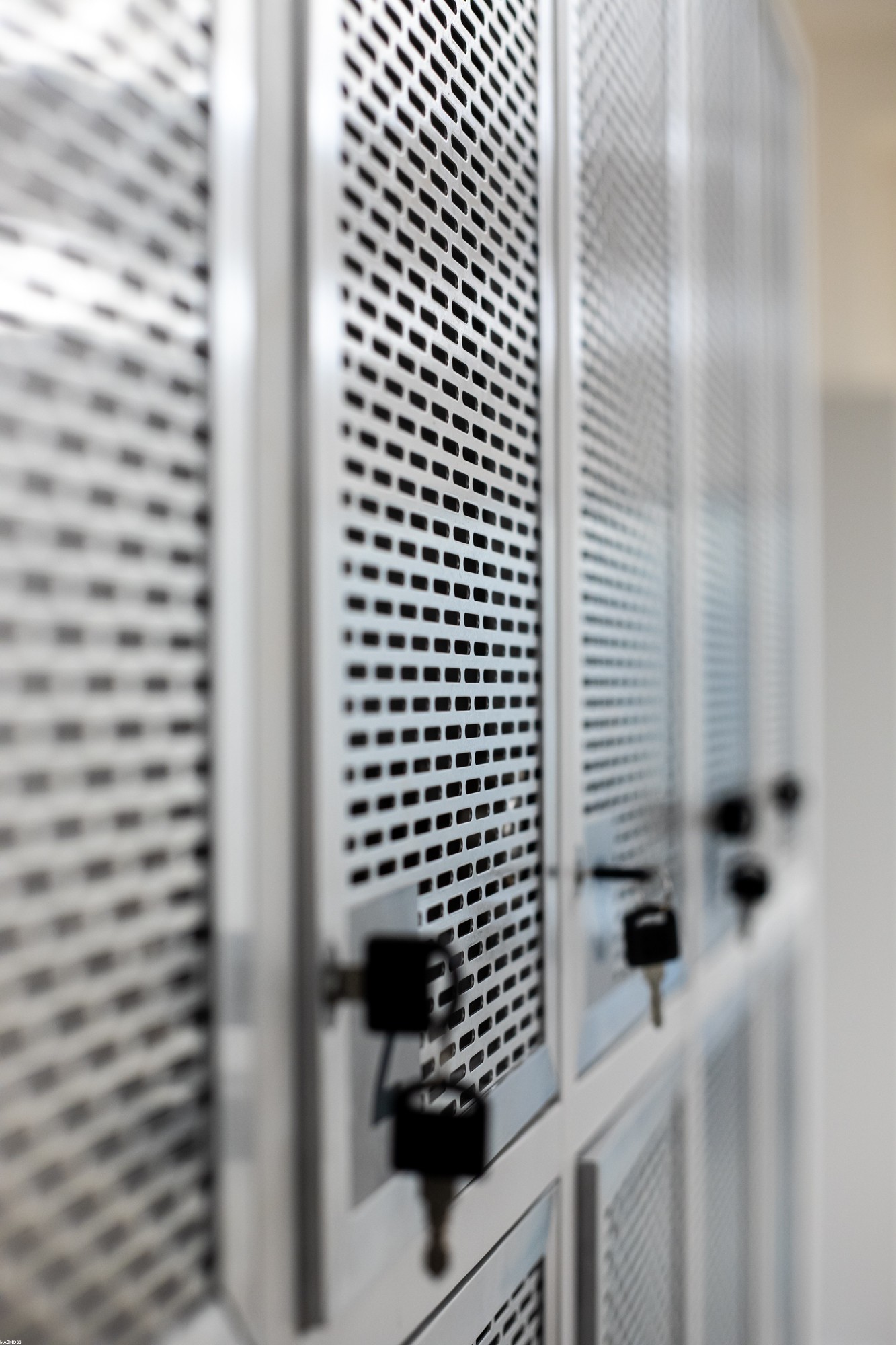 Městská knihovna Loštice