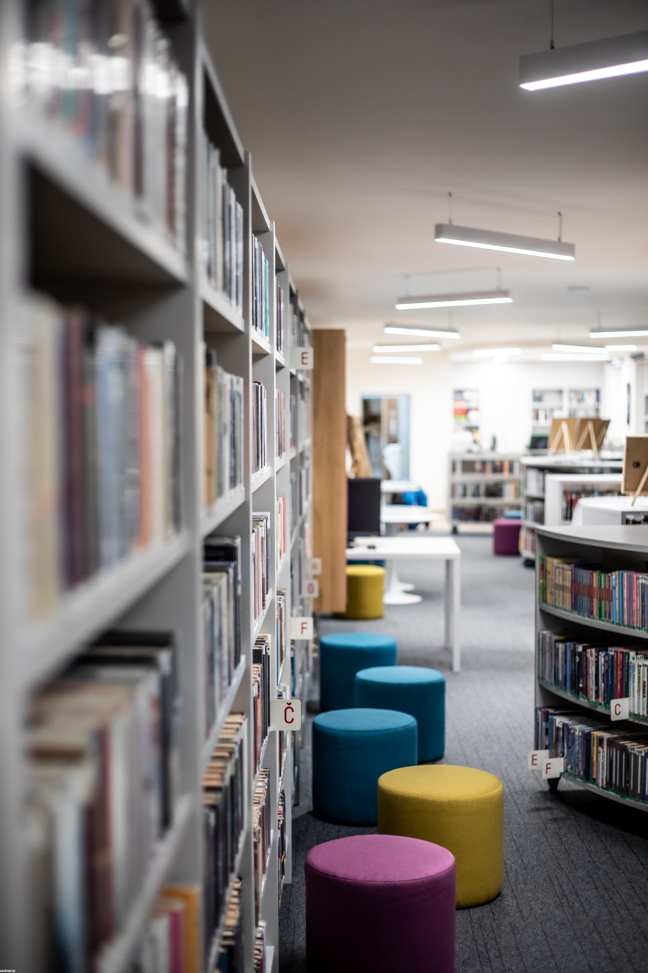 Městská knihovna Loštice