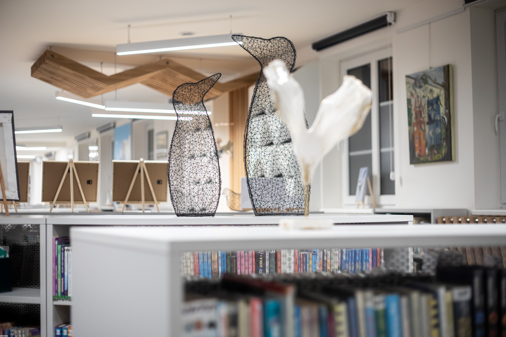 Městská knihovna Loštice