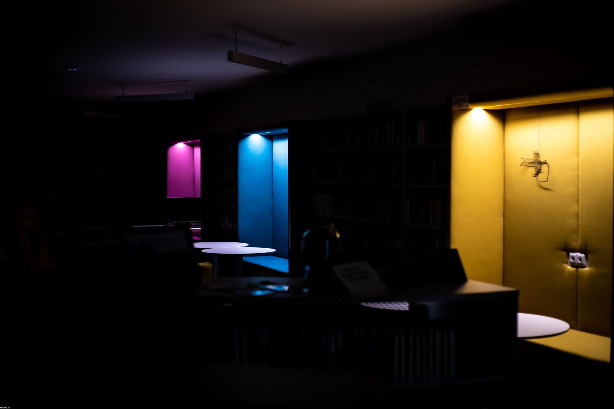 Městská knihovna Loštice