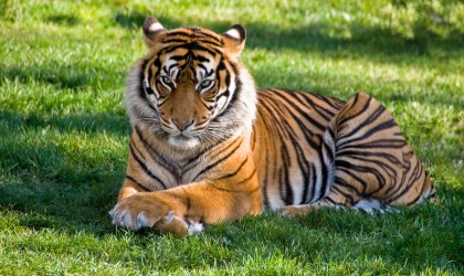 Lorem ipsum dolor sit amet.Lorem ipsum dolor sit amet.