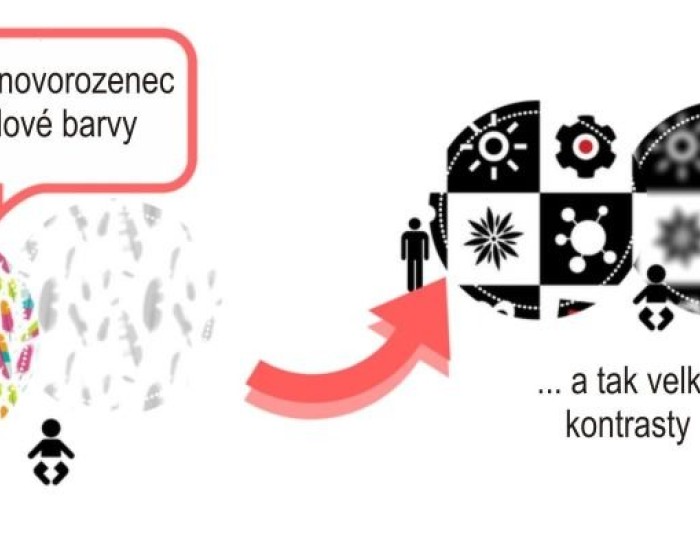 FÁMY X FAKTA o očích