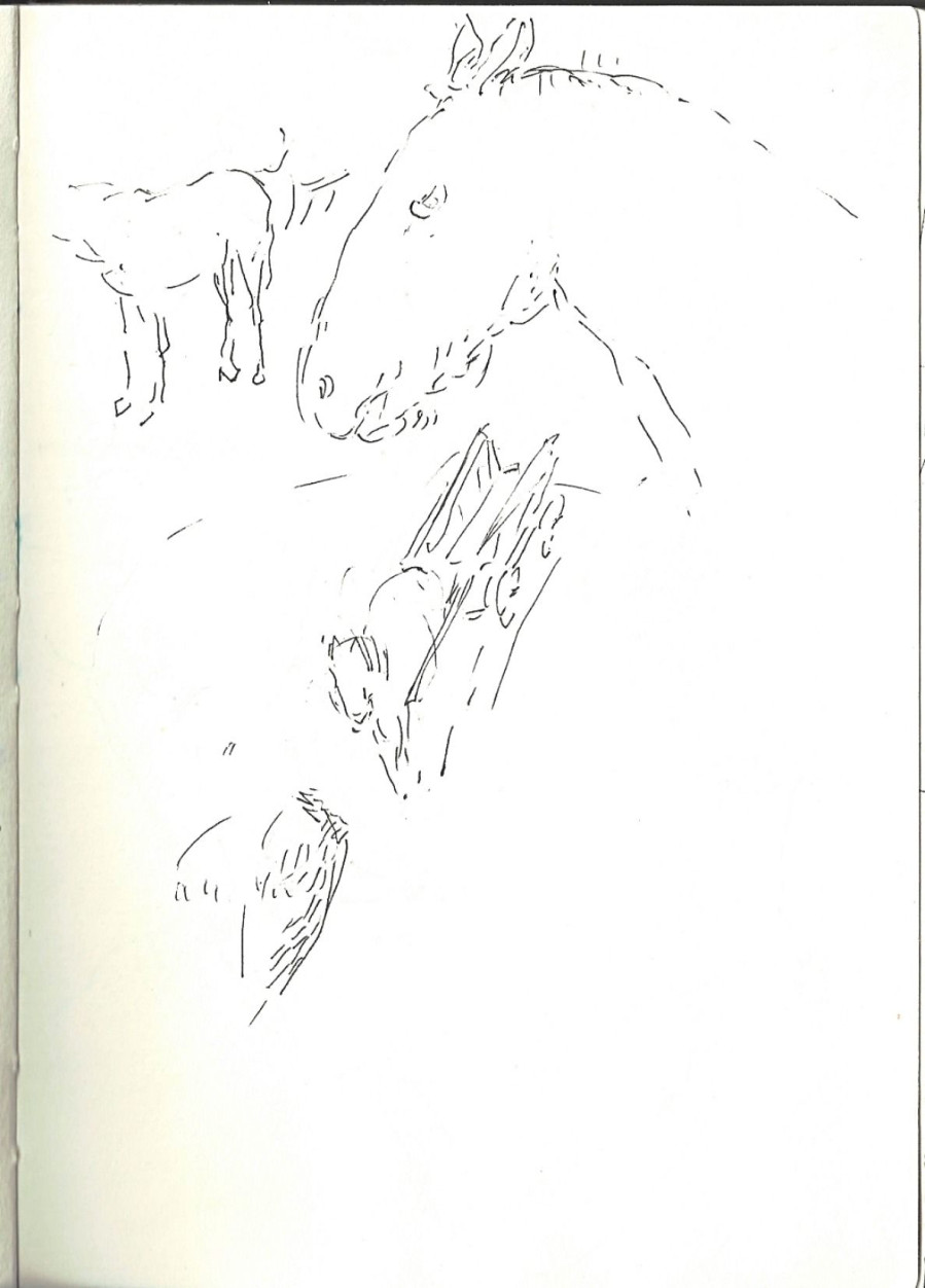Č./3,