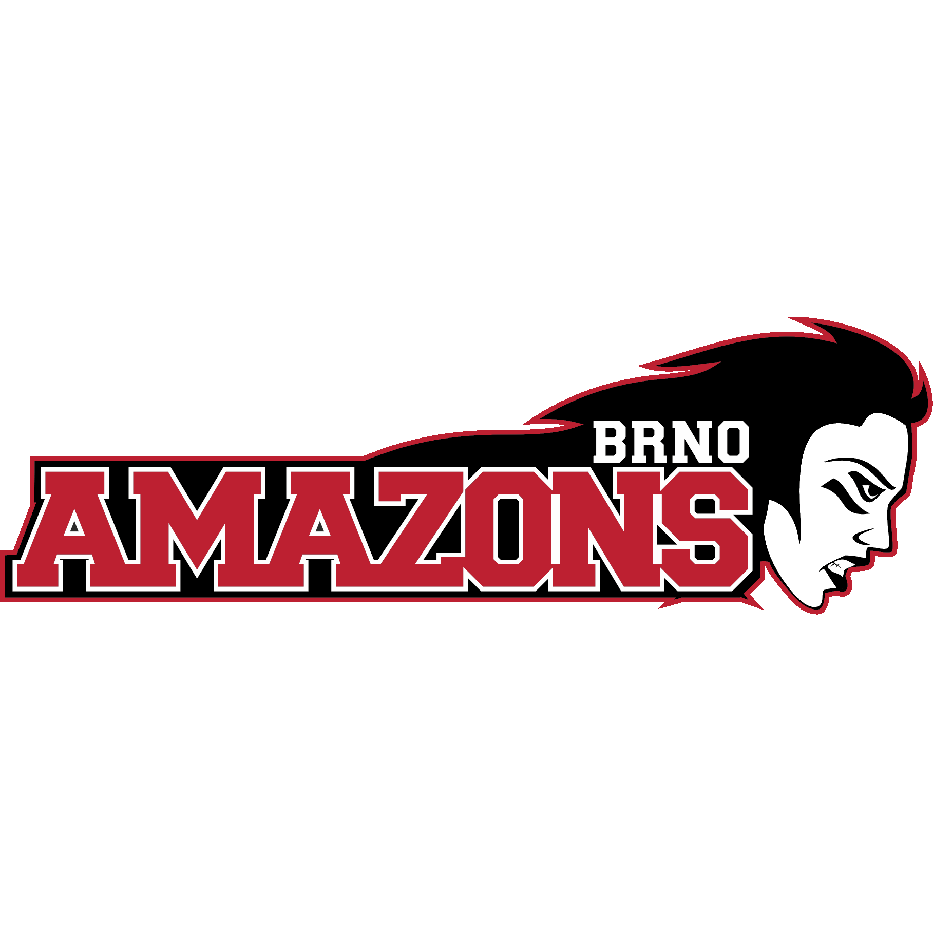 Brno Amazons - Pilsen Patriots
