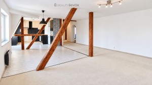Prodej mezonetového bytu 5+1, 165 m², terasa 20 m² – České Budějovice