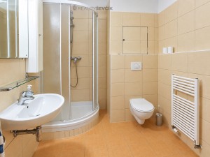 Pronájem bytu 2+kk, 54 m², balkon 12,6 m², garážové stání – České Budějovice, Plavská