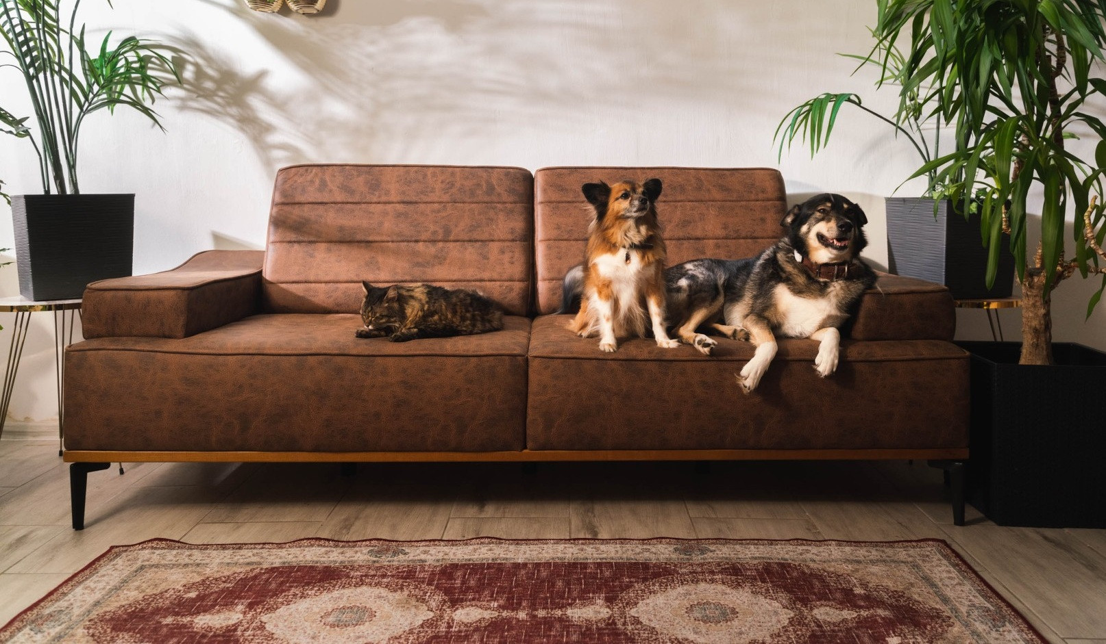 Nejlepší sedačky a nejlepší postele za nejlepší ceny