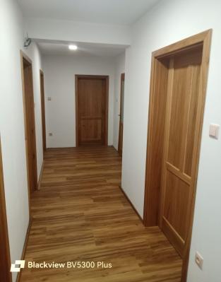 Dveře interiérové (masiv)