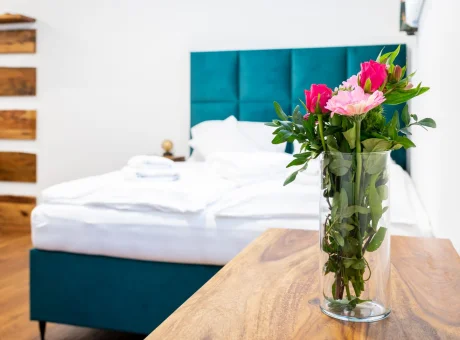 Luxusní apartmán KRKONOŠE se službami a možností wellness | WaeFoo.com