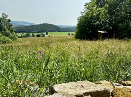 Maringotka a ubytování PodNebesí | WaeFoo.com