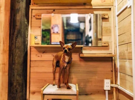 OÁZA coffee & bar | WaeFoo.com