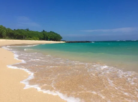 ENDLESS SUMMER | WaeFoo.com