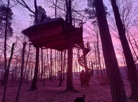 Stromhouse | WaeFoo.com