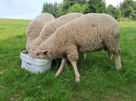 Chata Severka s Wellness | WaeFoo.com